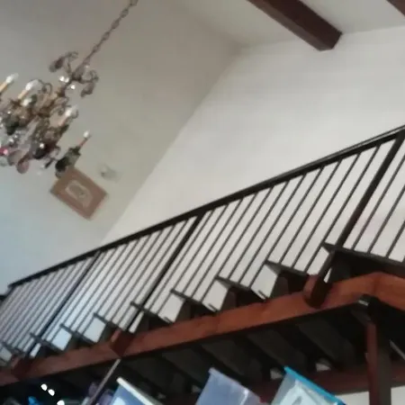 Giuliana Stanze Con Bagno Interno In A 350 Mt Libera Lido Delle Sirene Άντζιο