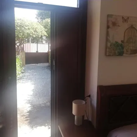 Πανσιόν Giuliana Stanze Con Bagno Interno In A 350 Mt Libera Lido Delle Sirene 2*